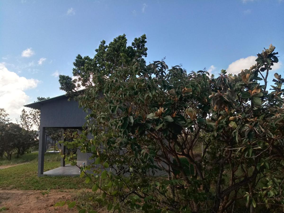 Chales Recanto Da Baleia Alto Paraíso de Goiás Exterior photo
